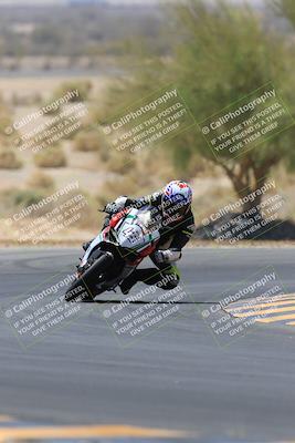 media/May-14-2023-SoCal Trackdays (Sun) [[024eb53b40]]/Turn 5 Tree of Life (1125am)/